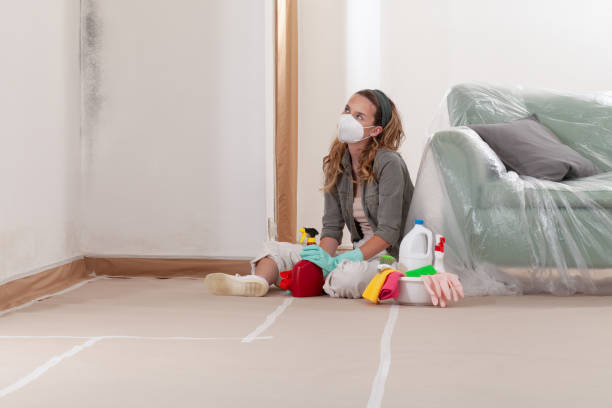Reliable Mold Cleanup contractor in Pinecliffe, CO by WQB Mold Removal